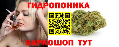 гашик Тверь