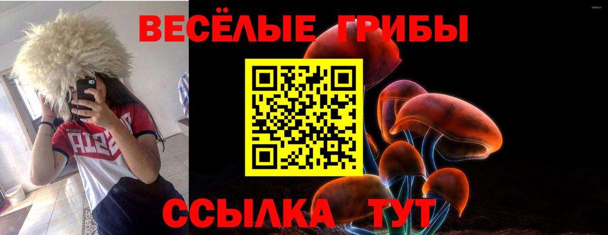 Псилоцибиновые грибы мицелий Среднеуральск